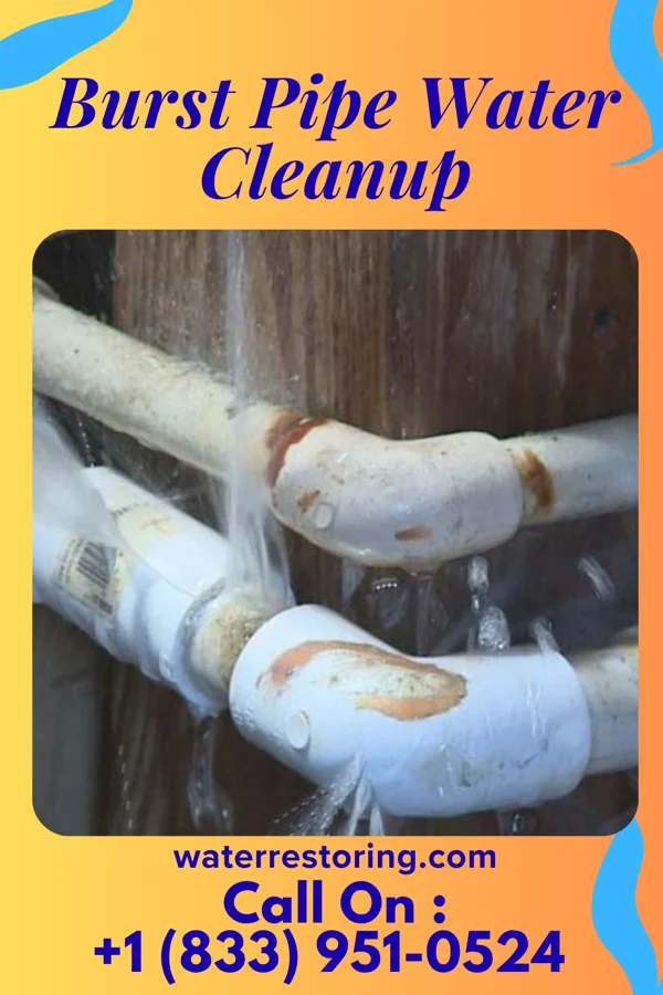 Burst Pipe Water Cleanup in Maiden Rock, WI