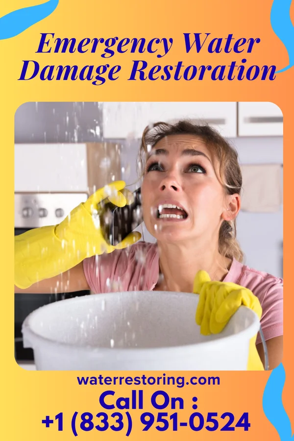 Emergency Water Damage Restoration in Maiden Rock, WI
