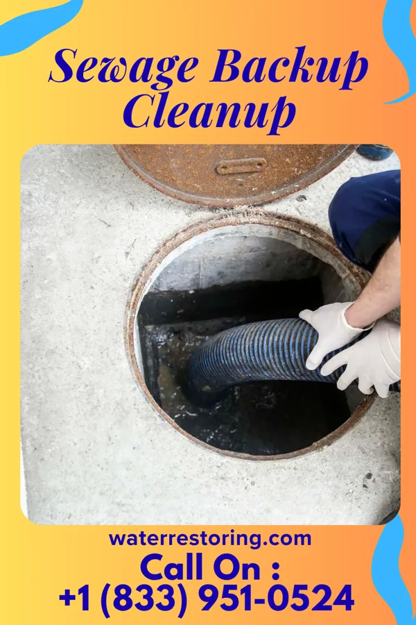 Sewage Backup Cleanup in Maiden Rock, WI