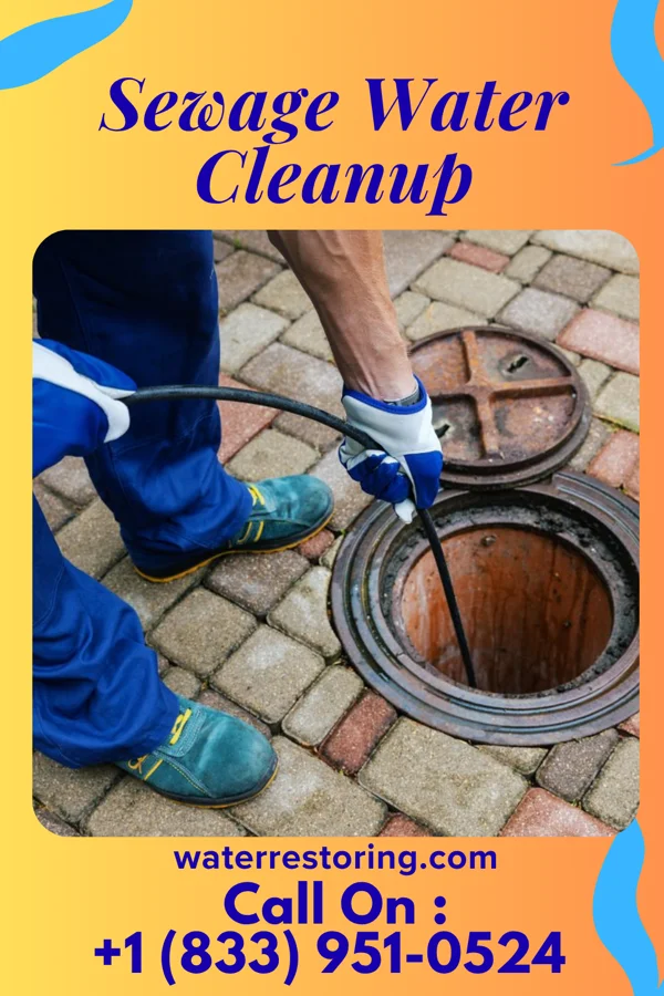 Sewage Water Cleanup in Maiden Rock, WI